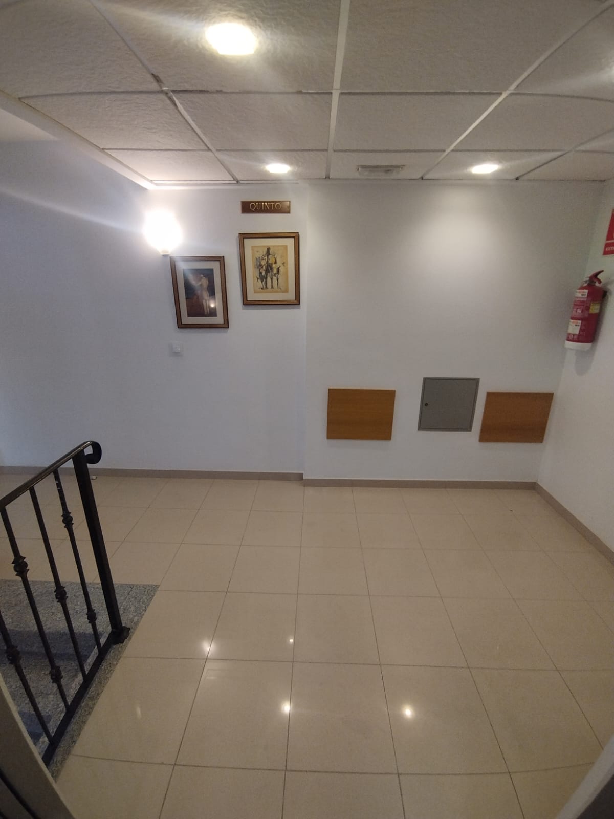 50014_cll palmera, alcantarilla (3).jpeg